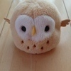 みたらしさんのプロフィール画像