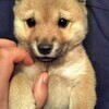 うにさんのプロフィール画像