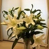 HIROさんのプロフィール画像
