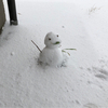雪だるまさんのプロフィール画像