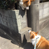まささんのプロフィール画像