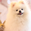 ちゆうさんのプロフィール画像