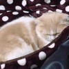 黒田 浩司さんのプロフィール画像
