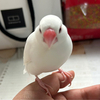 じょりじょりさんのプロフィール画像