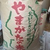 かめきちさんのプロフィール画像