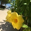 きぃෆ̈さんのプロフィール画像