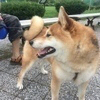 ツララさんのプロフィール画像