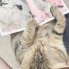 ももさんのプロフィール画像