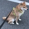 nadaさんのプロフィール画像