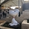 なかみみさんのプロフィール画像