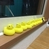 わいでぃーさんのプロフィール画像