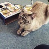 なさんのプロフィール画像