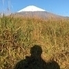けろっぴ〜さんのプロフィール画像