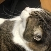 えーいちさんのプロフィール画像