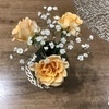 いつこさんのプロフィール画像