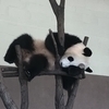 たひろさんのプロフィール画像