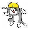のーりーさんのプロフィール画像