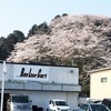 ベイラインカーズさんのプロフィール画像
