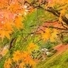 aiさんのプロフィール画像