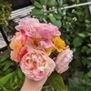 田邉亮さんのプロフィール画像