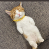 まっちゃんさんのプロフィール画像