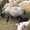 るんるんママさんのプロフィール画像
