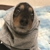 まーぼさんのプロフィール画像