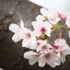 はるきさんのプロフィール画像