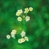 Erigguさんのプロフィール画像
