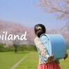 Aoiland❤さんのプロフィール画像