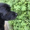 みかんさんのプロフィール画像
