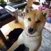 ふくやま不動産さんのプロフィール画像