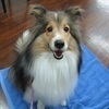 tatsukeさんのプロフィール画像