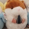 はる先生さんのプロフィール画像