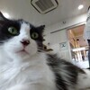 comiさんのプロフィール画像