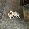 soulife945さんのプロフィール画像