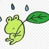 かえるくん16さんのプロフィール画像