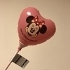 コットンさんのプロフィール画像