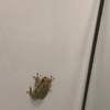 輝マリキータYAさんのプロフィール画像
