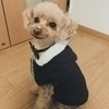 まいさんのプロフィール画像