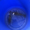 慎さんのプロフィール画像