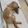 cocoさんのプロフィール画像