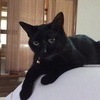 kuriさんのプロフィール画像