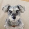 ちほさんのプロフィール画像