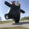 GUN BOYさんのプロフィール画像