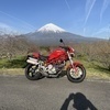 いっこうさんのプロフィール画像