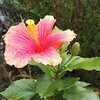 りりかさんのプロフィール画像