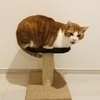 kkkさんのプロフィール画像