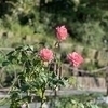 URさんのプロフィール画像