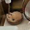 たまちゃんさんのプロフィール画像